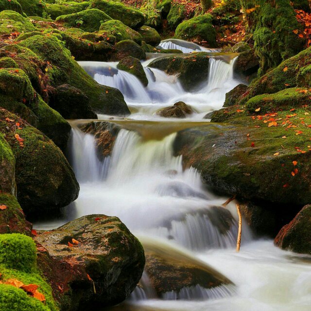 曹永