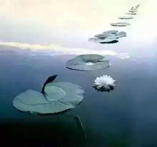 XI TONG Z