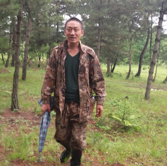 红桃3李建