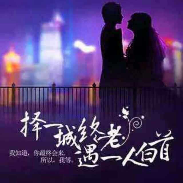 山西汾阳木屑加工