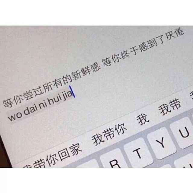 枫442