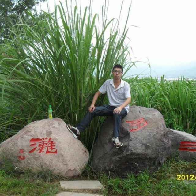 仰望生活