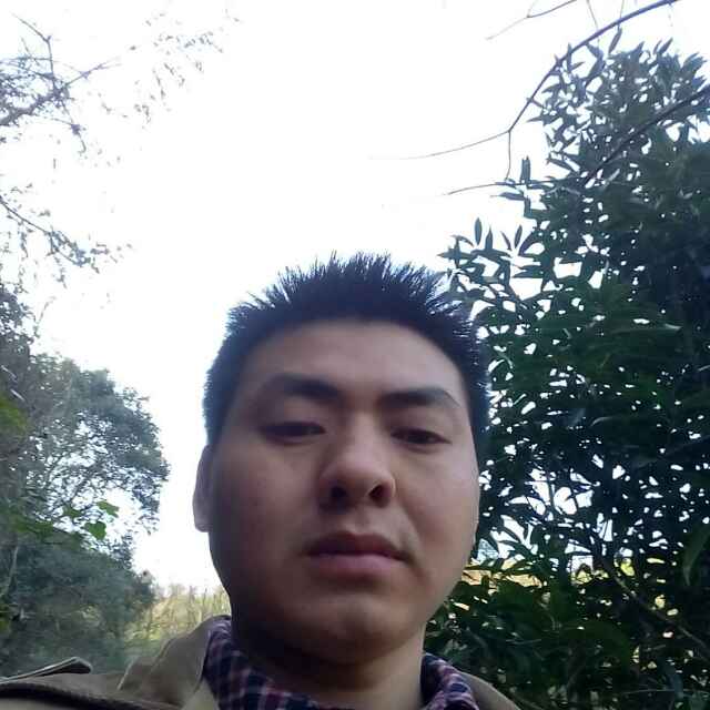 蔡顶文