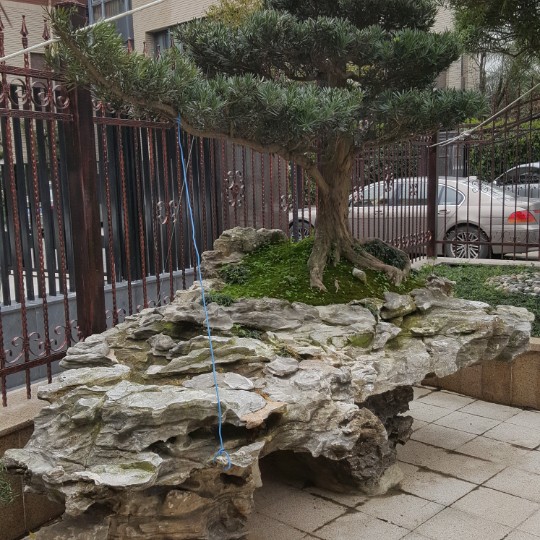 红苹果