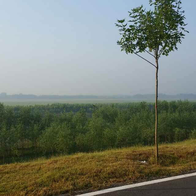 李文清