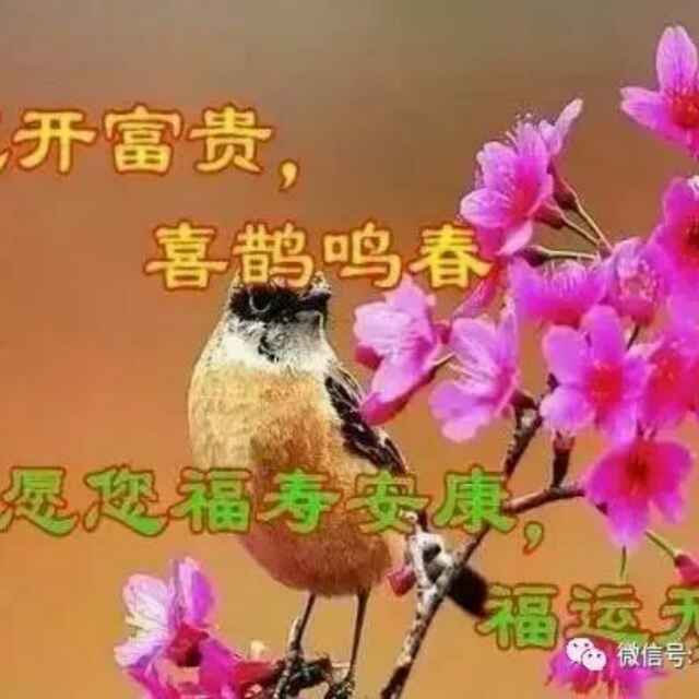 天道酬勤566