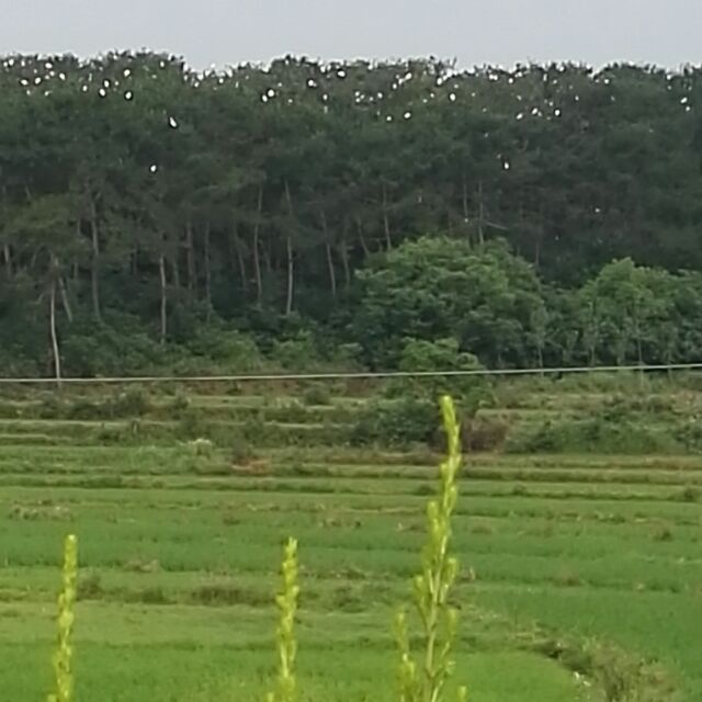 垂钓者