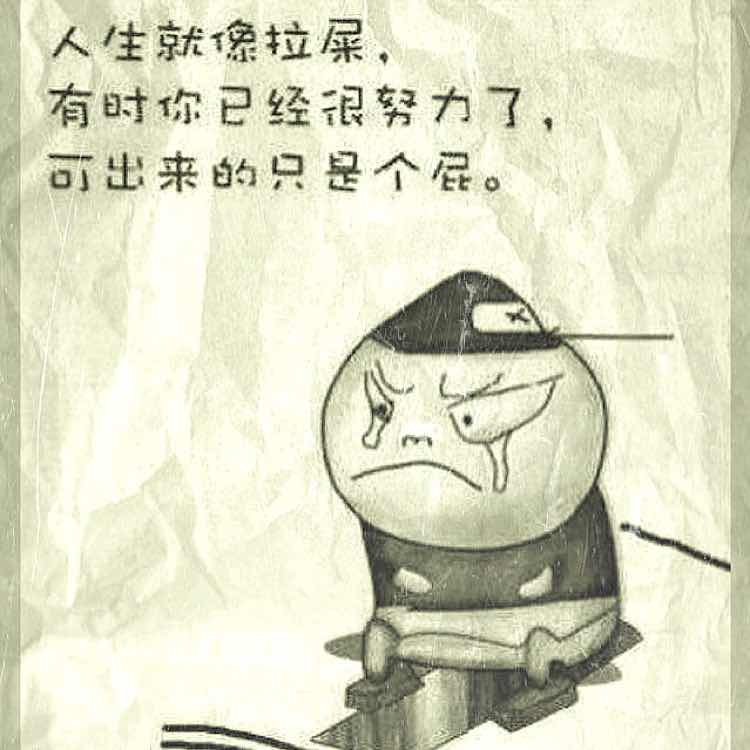 Andy 琳辕进口