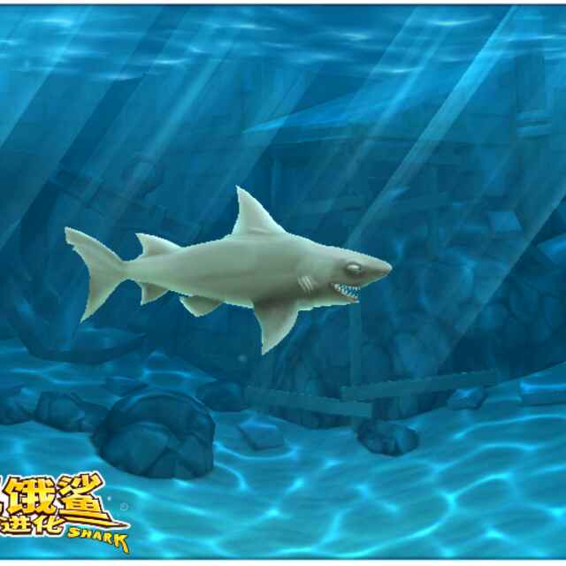 蓝色海洋997