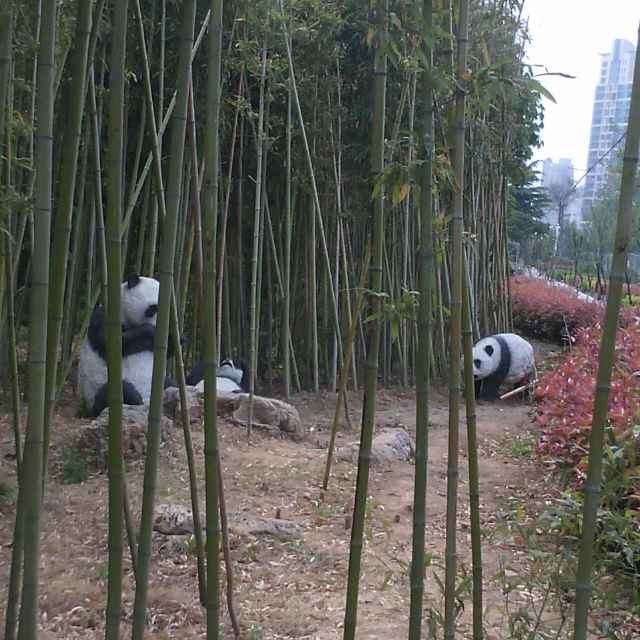 @ ^_^Q_Q向家银