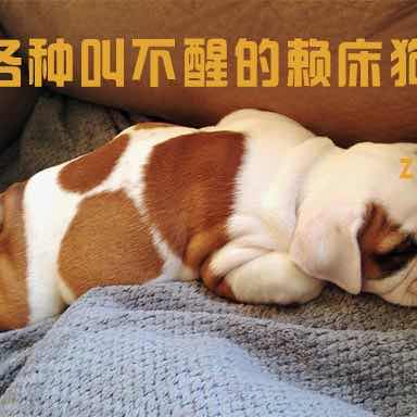 姜勇