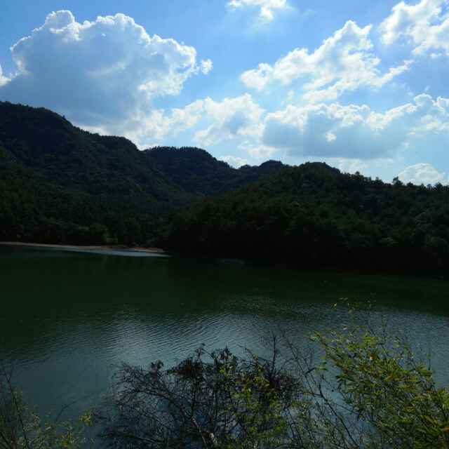 枫桥木材
