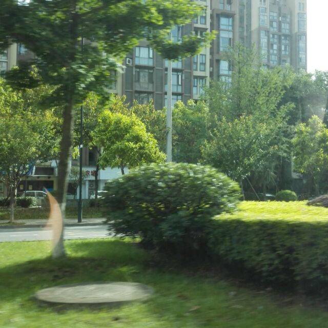 大古