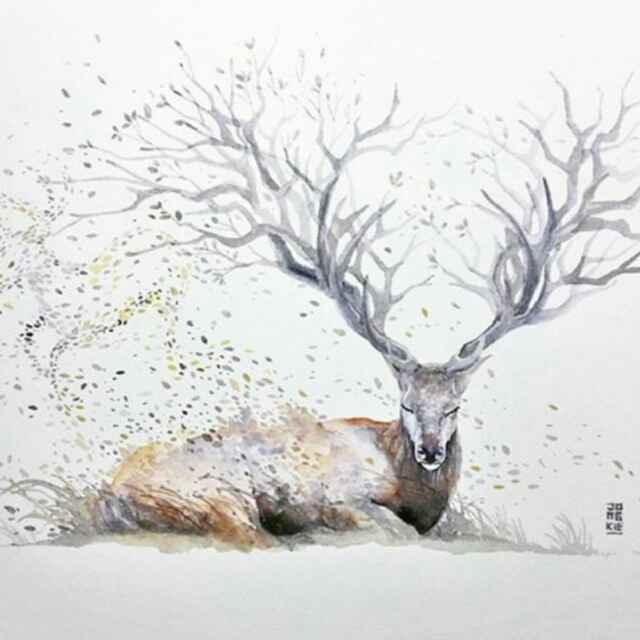 冰花微雪
