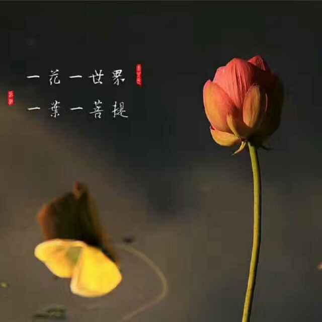 ★ヴ杰