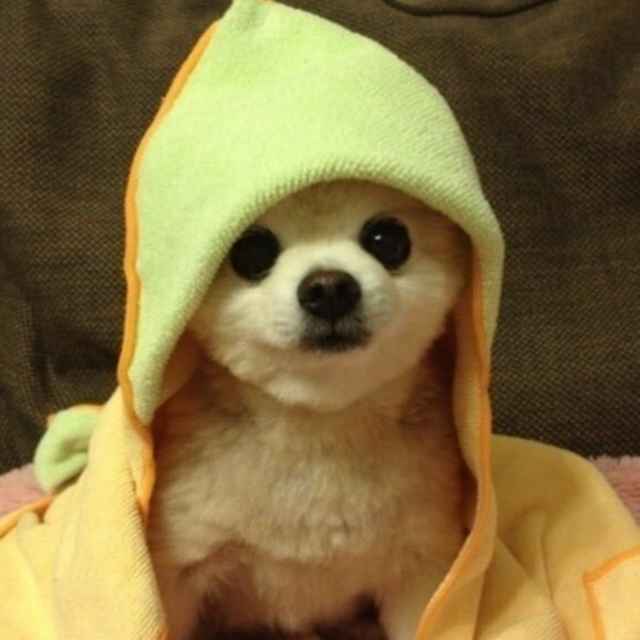 阿剑