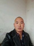老鹰