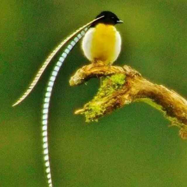  古韵