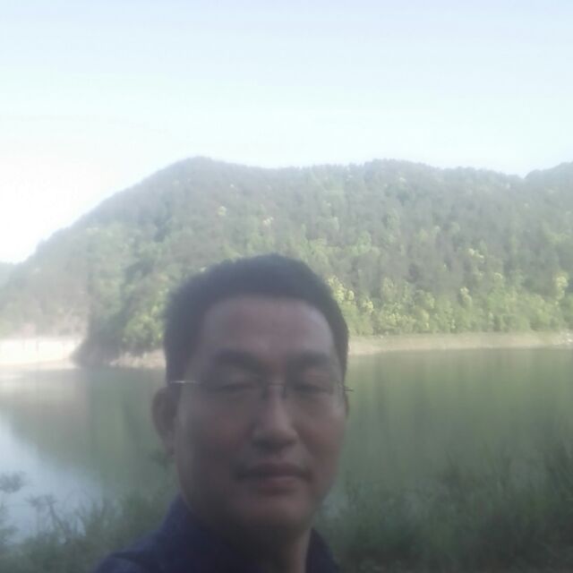 贴飞