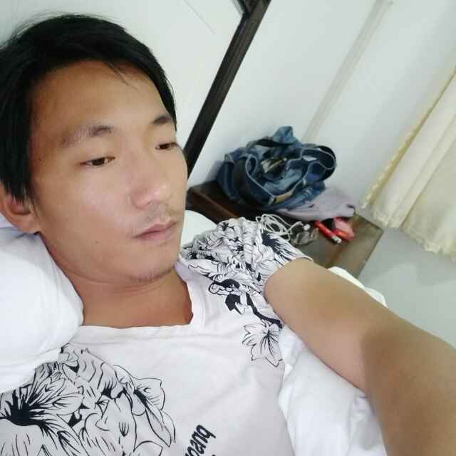 情字何解