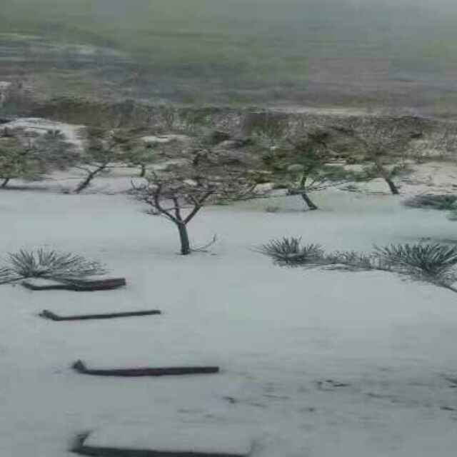 蛊毒巫医