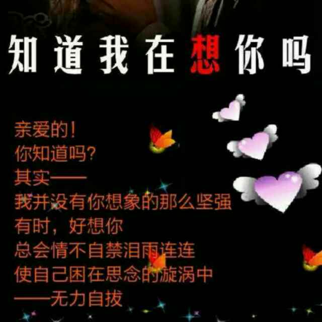 爱你永不变384
