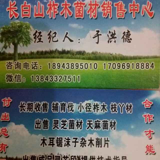 长白山菌材销售公司，于洪德。