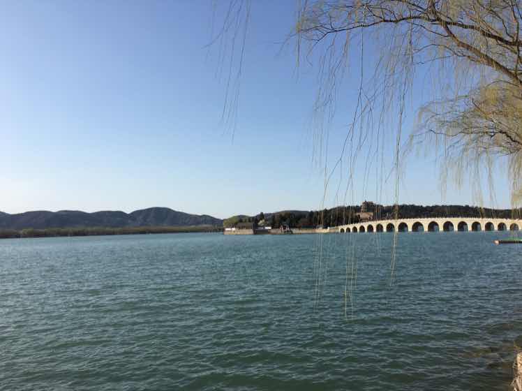 相龙