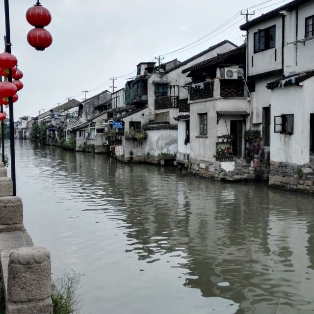 静.待花开
