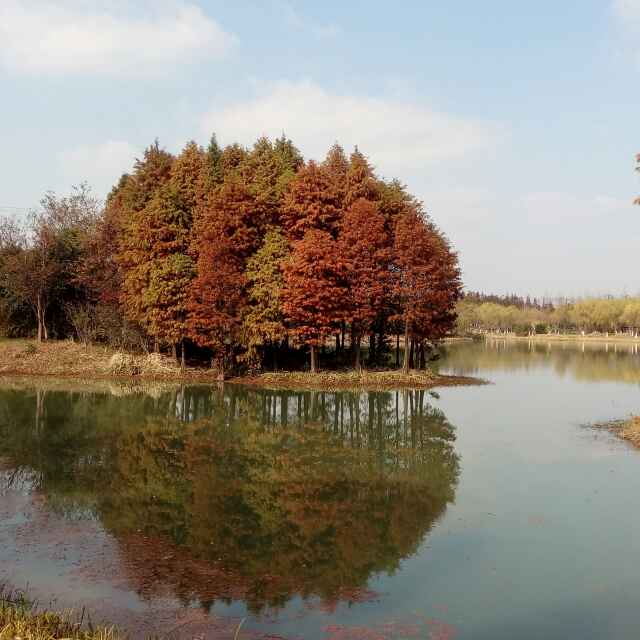 方涛