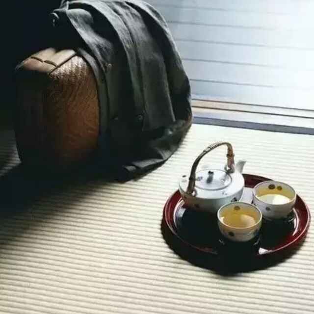 朝阳1234