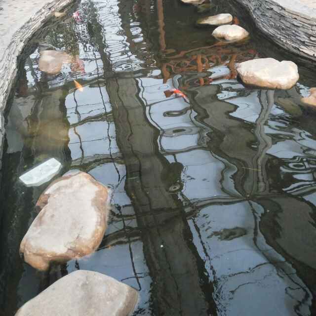 游走八方