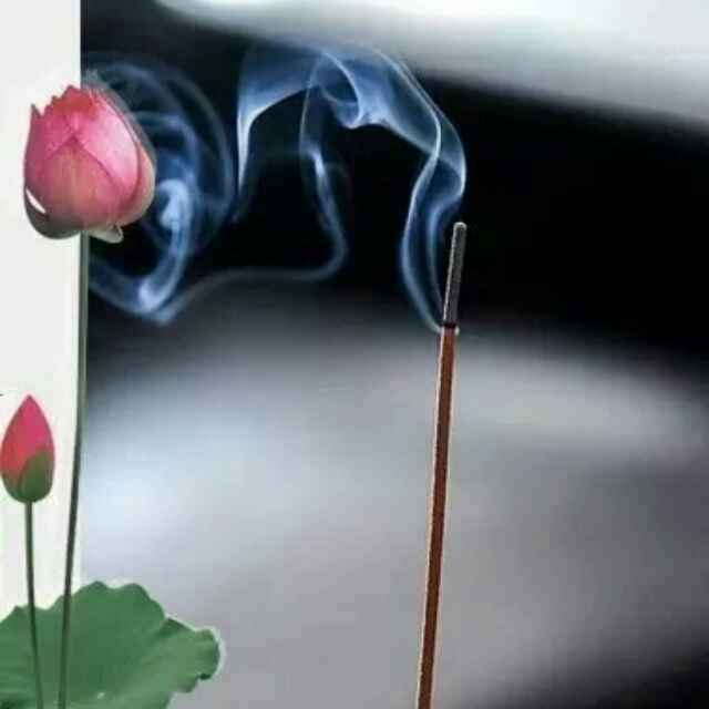 远航杨帆