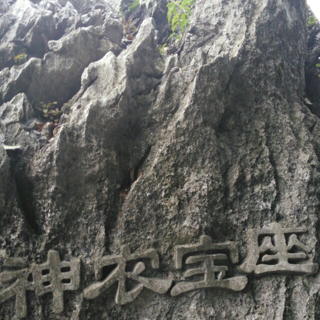 自食其力204