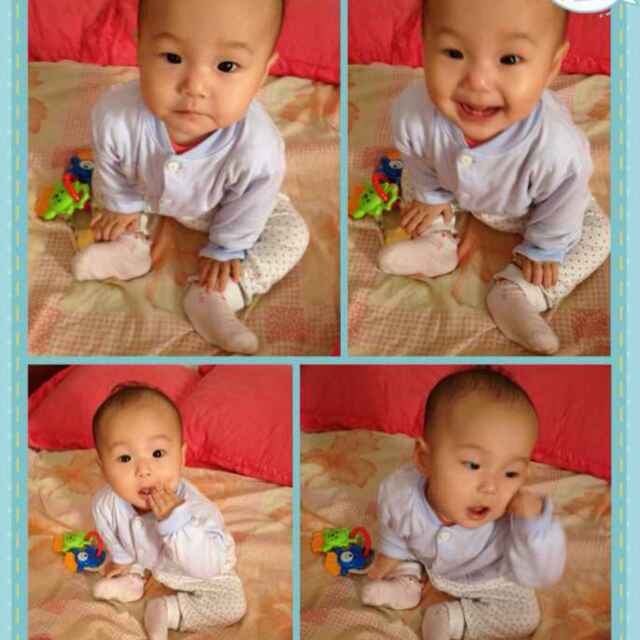 fangsheng
