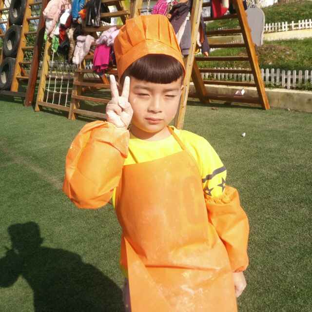 重庆酉阳木材