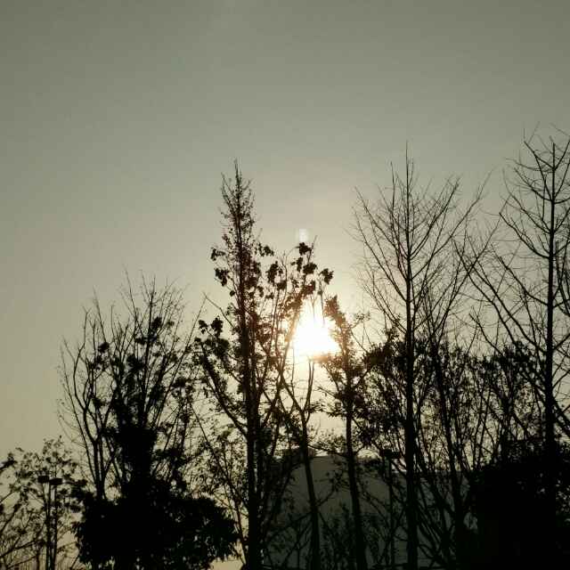 a木林森