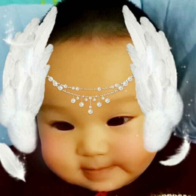 网上吴晓光