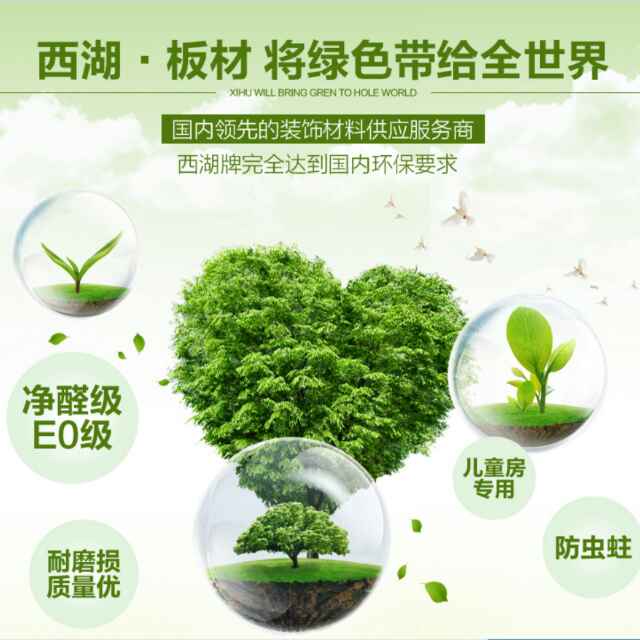 西湖板材 戴