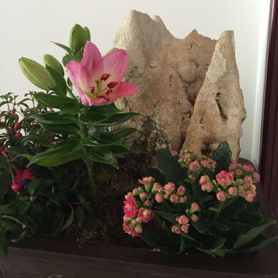 梵缘木业