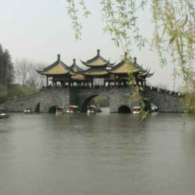 wgh123456