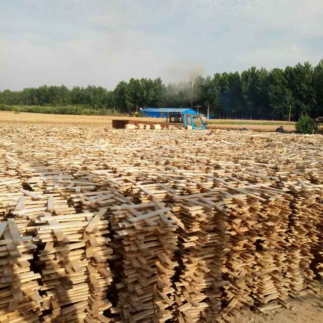 杨氏木业集团