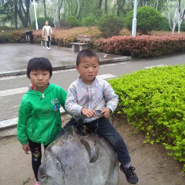 出售香杉木大拼