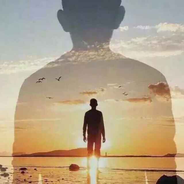 木行天下