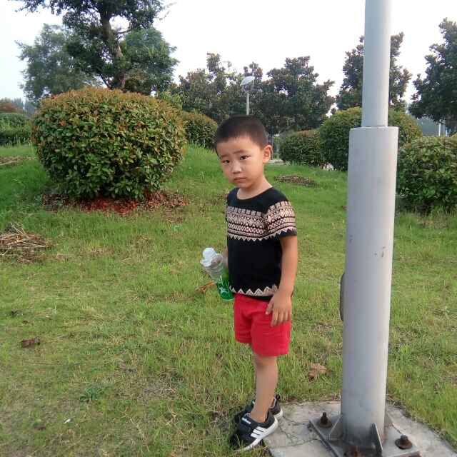 buhubupingfan