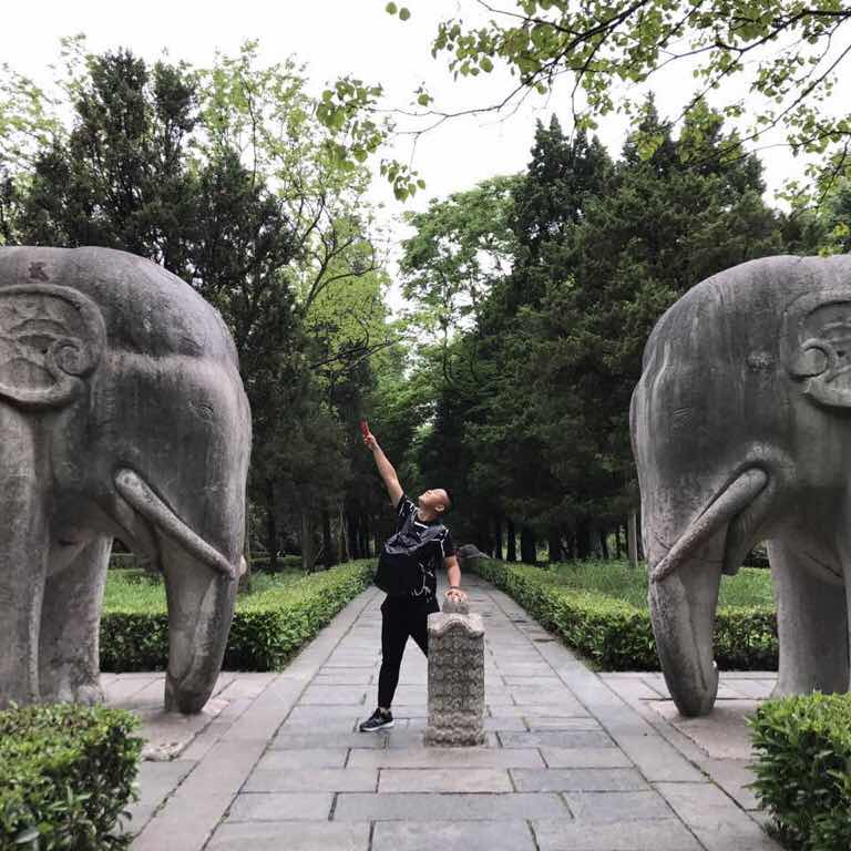 赵小豪的木材