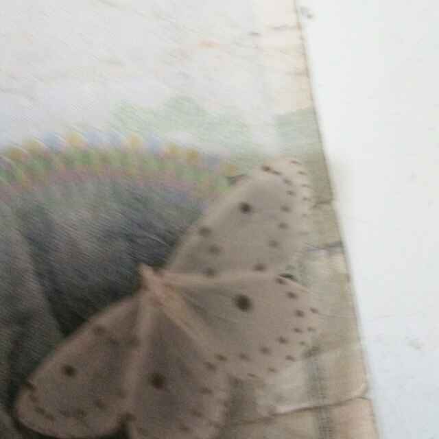 远盛木材