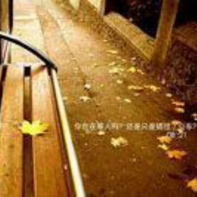 可以可以