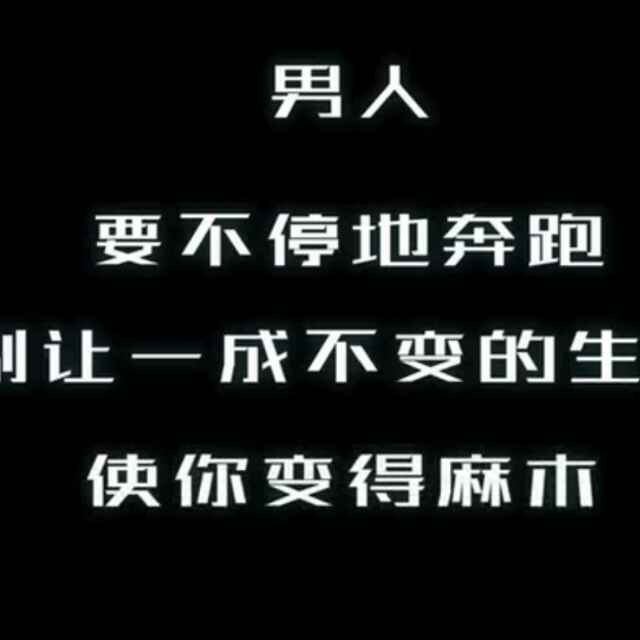 战狼nn