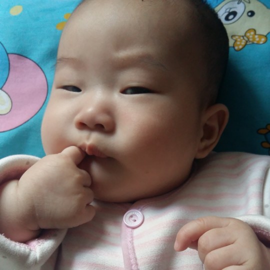 小董15075353807